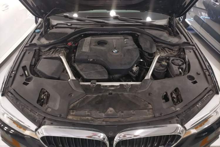 Used BMW 5 Series 2020 530Li Leading Model M Sport Package Engine Bay