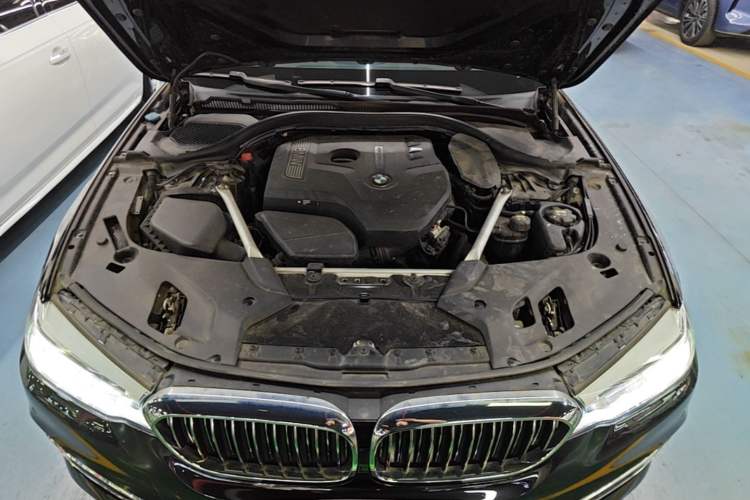 Used BMW 5 Series 2020 530Li Leading Edition Luxury Package Engine Bay