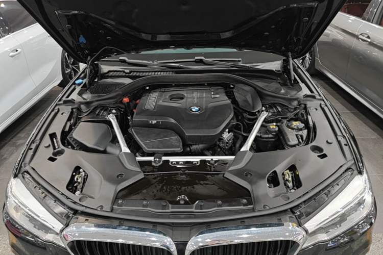 Used BMW 5 Series 2020 530Li Leading Model M Sport Package Engine Bay