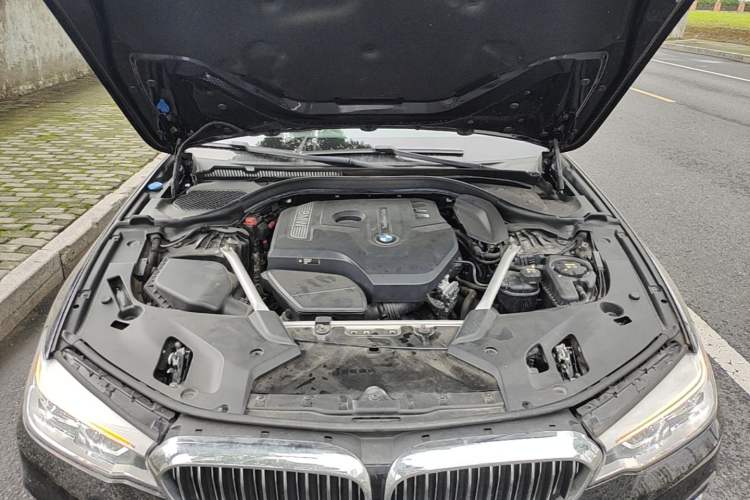 Used BMW 5 Series 2020 530Li Leading Edition Luxury Package Engine Bay