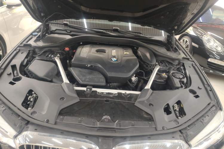 Used BMW 5 Series 2020 530Li Leading Edition Luxury Package Engine Bay