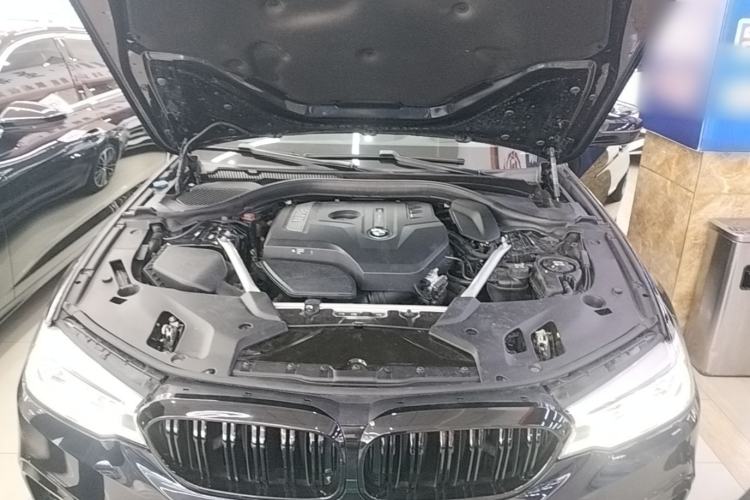 Used BMW 5 Series 2020 530Li Leading Model M Sport Package Engine Bay