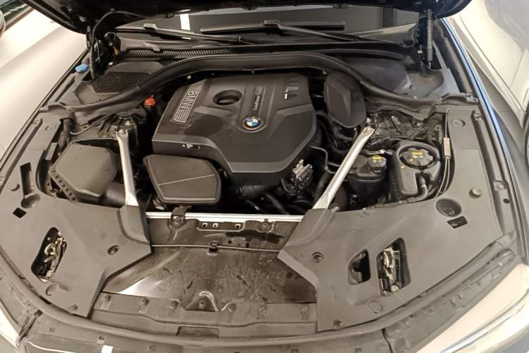 Used BMW 5 Series 2020 530Li Luxury Edition M Sport Package Engine Bay