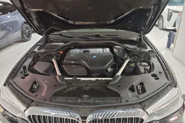 Used BMW 5 Series 2020 530Li Leading Edition Luxury Package Engine Bay