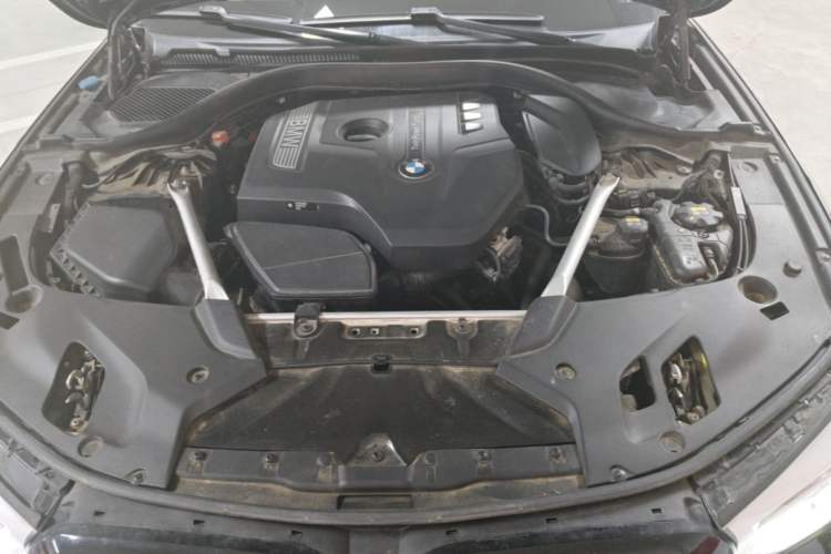 Used BMW 5 Series 2020 530Li Leading Model M Sport Package Engine Bay