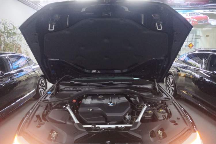 Used BMW 5 Series 2020 530Li Leading Model M Sport Package Engine Bay
