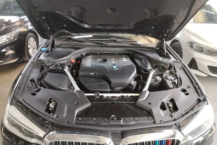 Used BMW 5 Series 2020 530Li Leading Edition Luxury Package Engine Bay