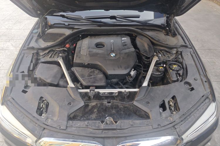 Used BMW 5 Series 2020 530Li Luxury Edition M Sport Package Engine Bay