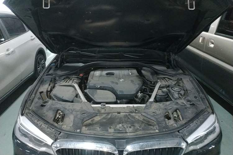 Used BMW 5 Series 2020 530Li Leading Model M Sport Package Engine Bay