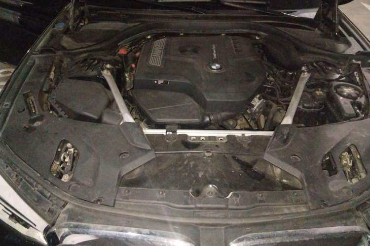 Used BMW 5 Series 2020 530Li xDrive M Sport Package Engine Bay