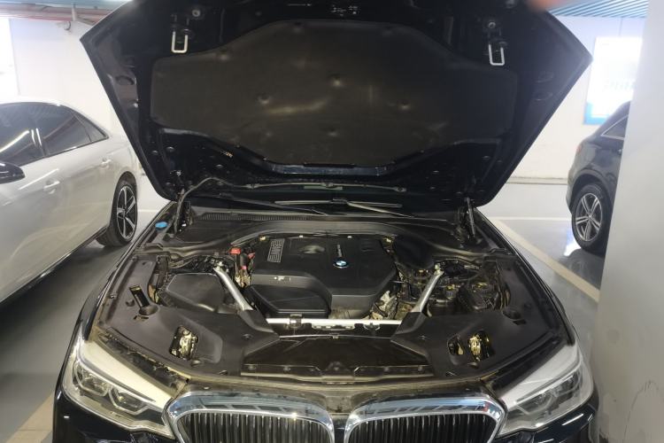Used BMW 5 Series 2020 530Li Luxury Edition M Sport Package Engine Bay