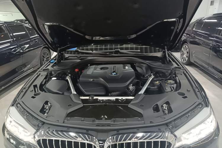 Used BMW 5 Series 2020 530Li Luxury Edition Premium Package Engine Bay