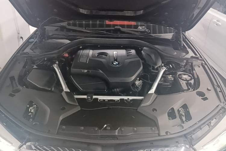 Used BMW 5 Series 2020 530Li Leading Model M Sport Package Engine Bay