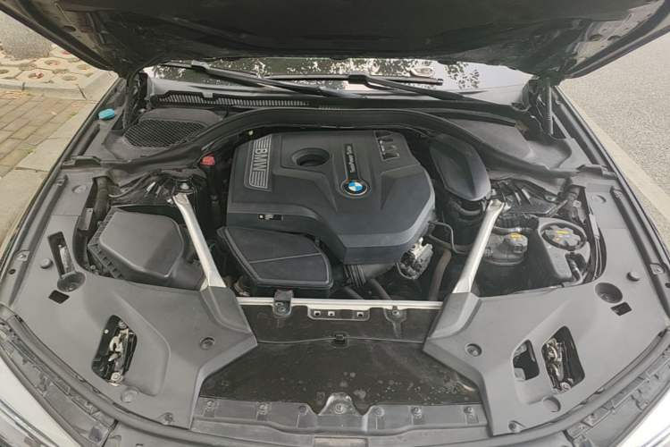 Used BMW 5 Series 2020 530Li Leading Edition Luxury Package Engine Bay