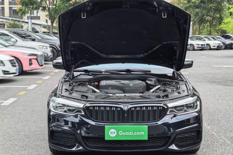Used BMW 5 Series 2020 530i Sport Line M Sport Package Engine Bay
