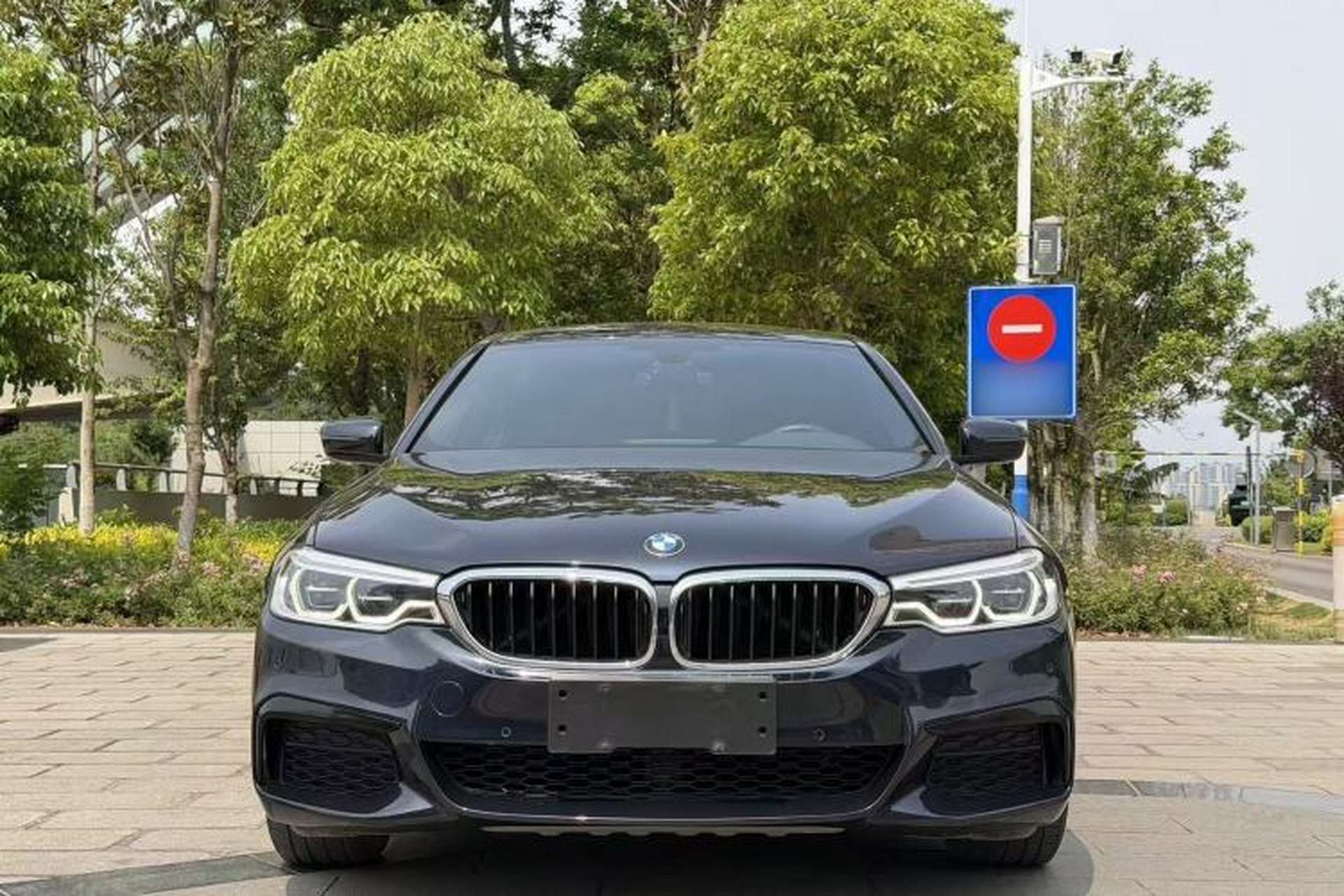 Used BMW 5 Series 2020 530Li Leading Model M Sport Package Exterior 1