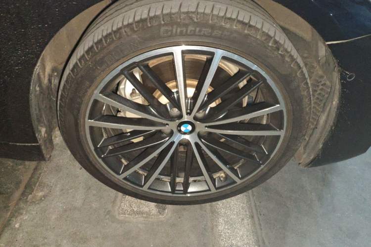 Used BMW 5 Series 2020 530Li Leading Model M Sport Package Exterior 1