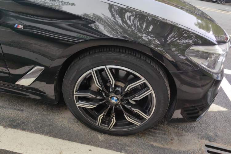 Used BMW 5 Series 2020 530Li Leading Model M Sport Package Exterior 1