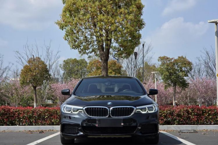 Used BMW 5 Series 2020 530Li Leading Model M Sport Package Exterior 1
