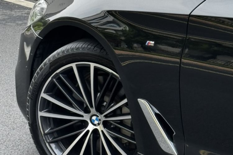 Used BMW 5 Series 2020 530Li Leading Model M Sport Package Exterior 10