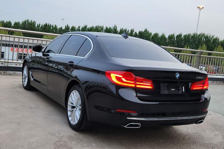 Used BMW 5 Series 2020 530Li Leading Edition Luxury Package Exterior 3