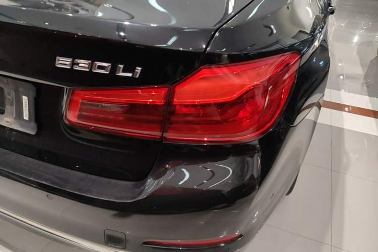 Used BMW 5 Series 2020 530Li Luxury Edition Premium Package Exterior 3