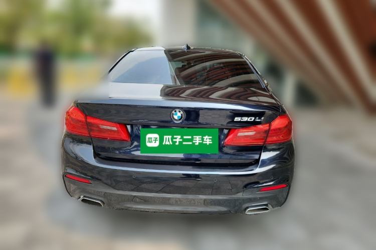 Used BMW 5 Series 2020 530Li Luxury Edition M Sport Package Exterior 4