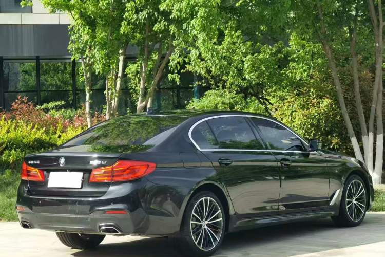 Used BMW 5 Series 2020 530Li Leading Model M Sport Package Exterior 4