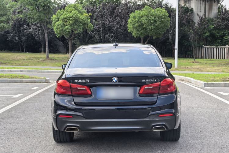 Used BMW 5 Series 2020 530Li Luxury Edition M Sport Package Exterior 4