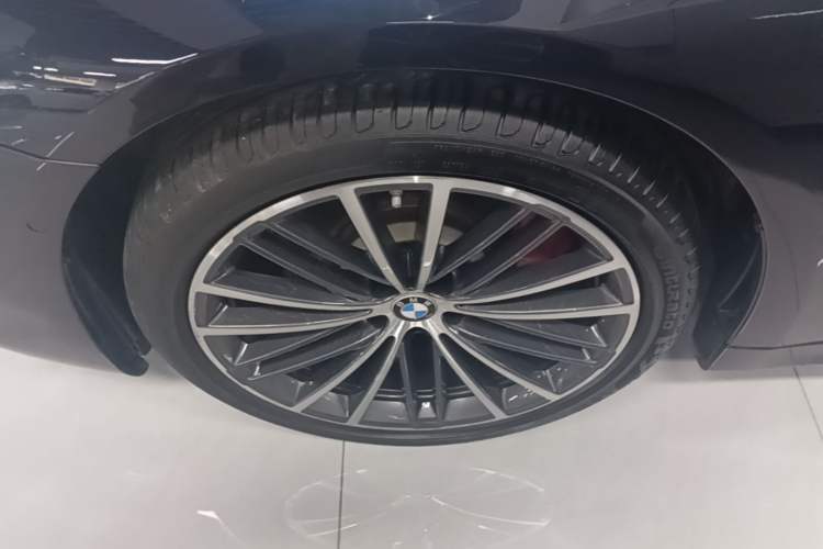 Used BMW 5 Series 2020 530Li Leading Model M Sport Package Exterior 4