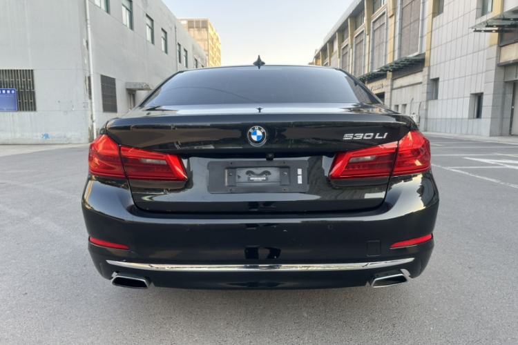 Used BMW 5 Series 2020 530Li Leading Edition Luxury Package Exterior 5