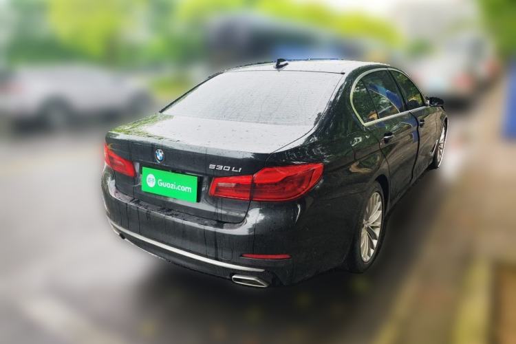 Used BMW 5 Series 2020 530Li Leading Edition Luxury Package Exterior 5