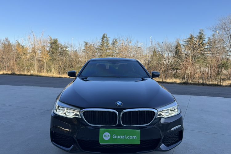 Used BMW 5 Series 2020 530Li Luxury Edition M Sport Package Exterior 5