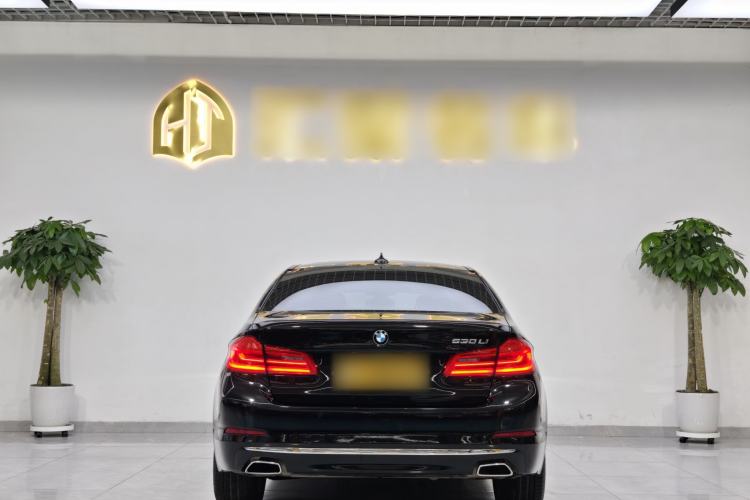 Used BMW 5 Series 2020 530Li Luxury Edition Premium Package Exterior 5