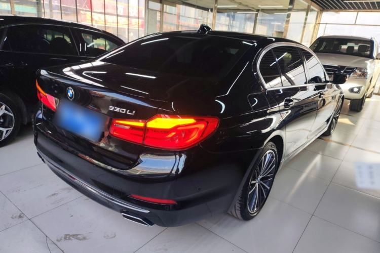 Used BMW 5 Series 2020 530Li Executive Luxury Package Exterior 5