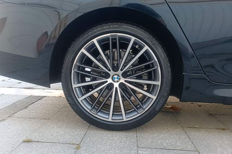 Used BMW 5 Series 2020 530Li Leading Model M Sport Package Exterior 5
