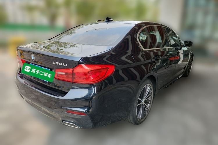 Used BMW 5 Series 2020 530Li Luxury Edition M Sport Package Exterior 5
