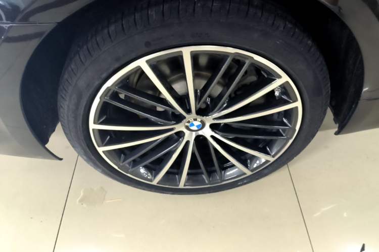 Used BMW 5 Series 2020 530Li Luxury Edition M Sport Package Exterior 5