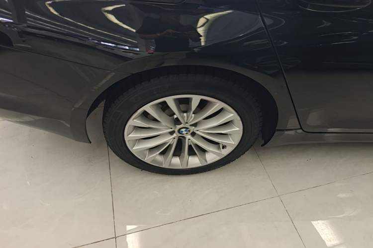 Used BMW 5 Series 2020 525Li Luxury Package Exterior 5