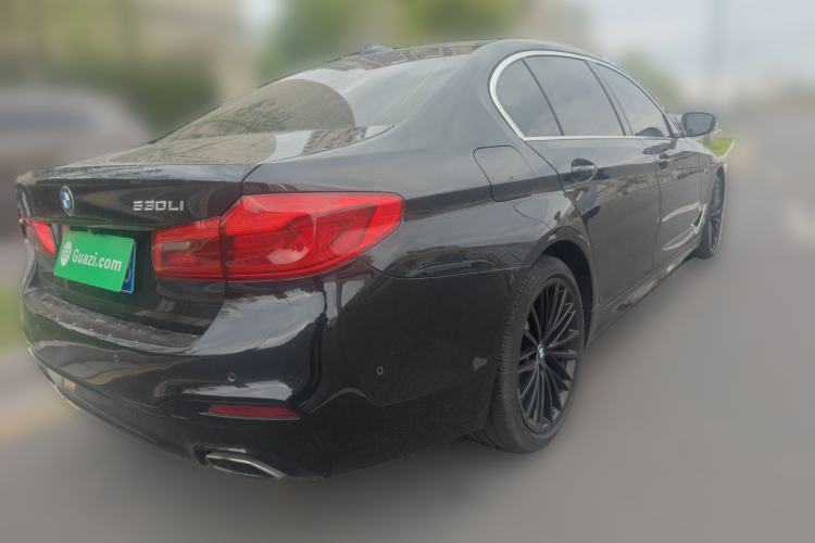 Used BMW 5 Series 2020 530Li Luxury Edition M Sport Package Exterior 5