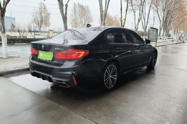 Used BMW 5 Series 2020 530Li Leading Model M Sport Package Exterior 5