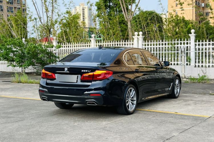 Used BMW 5 Series 2020 525Li M Sport Package Exterior 5