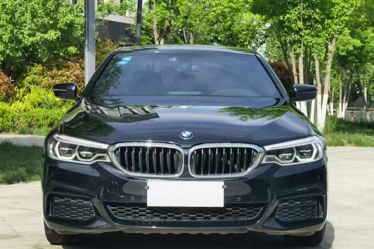 Used BMW 5 Series 2020 530Li Leading Model M Sport Package Exterior 5