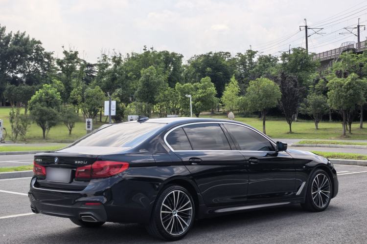 Used BMW 5 Series 2020 530Li Luxury Edition M Sport Package Exterior 5