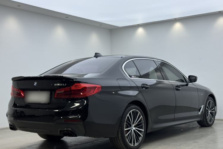 Used BMW 5 Series 2020 530Li xDrive M Sport Package Exterior 5