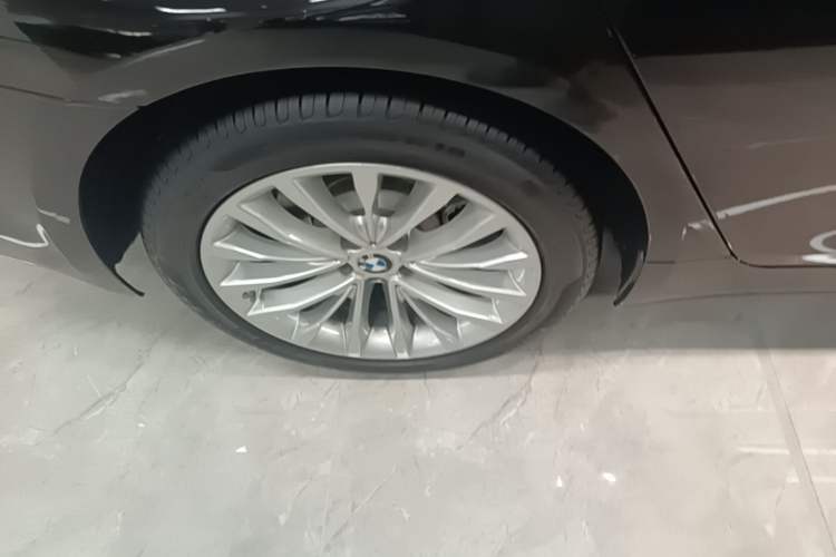 Used BMW 5 Series 2020 530Li Luxury Edition Premium Package Exterior 5