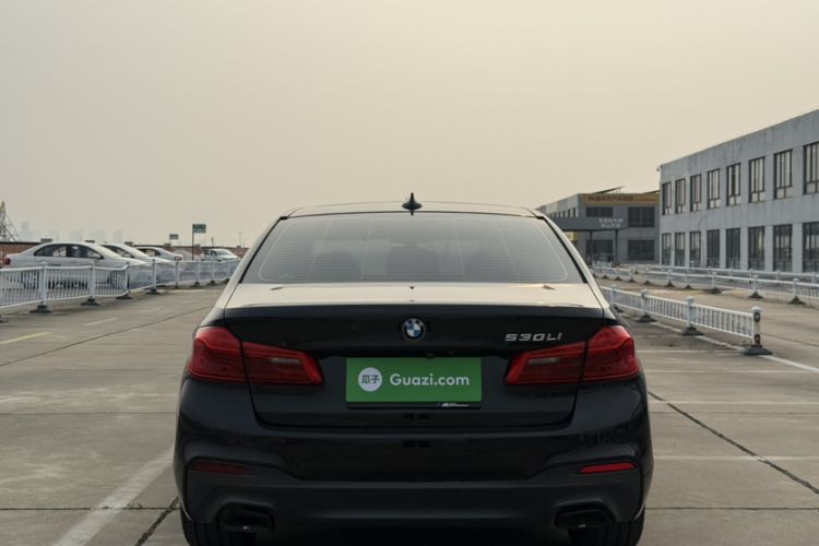 Used BMW 5 Series 2020 530Li Leading Model M Sport Package Exterior 5