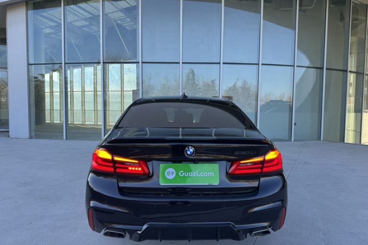 Used BMW 5 Series 2020 530Li Luxury Edition M Sport Package Exterior 6