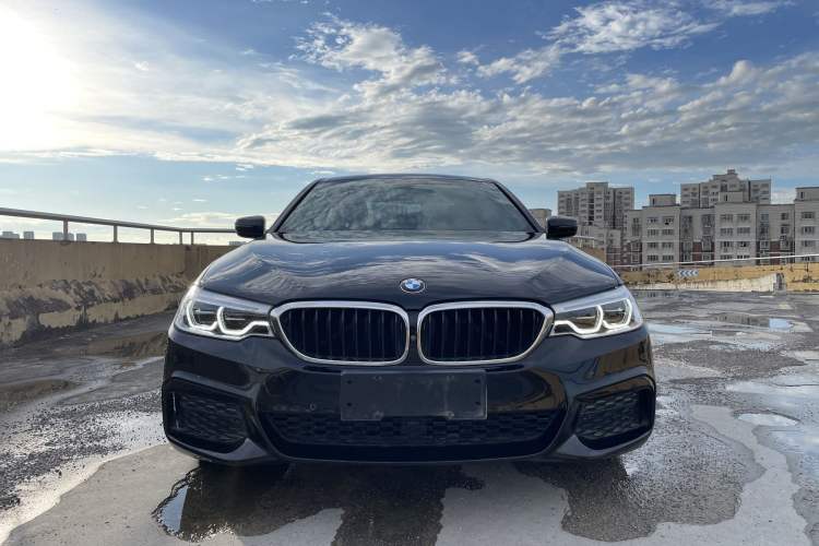 Used BMW 5 Series 2020 530Li Luxury Edition M Sport Package Exterior 6