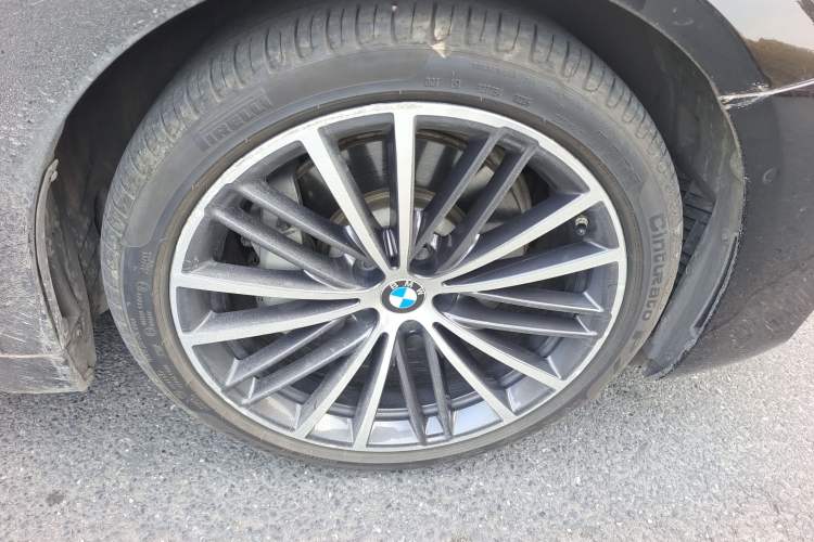 Used BMW 5 Series 2020 530Li Luxury Edition M Sport Package Exterior 7